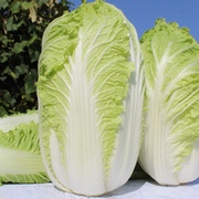 Asiatisches Blattgemüse Asiatisches Blattgemüse